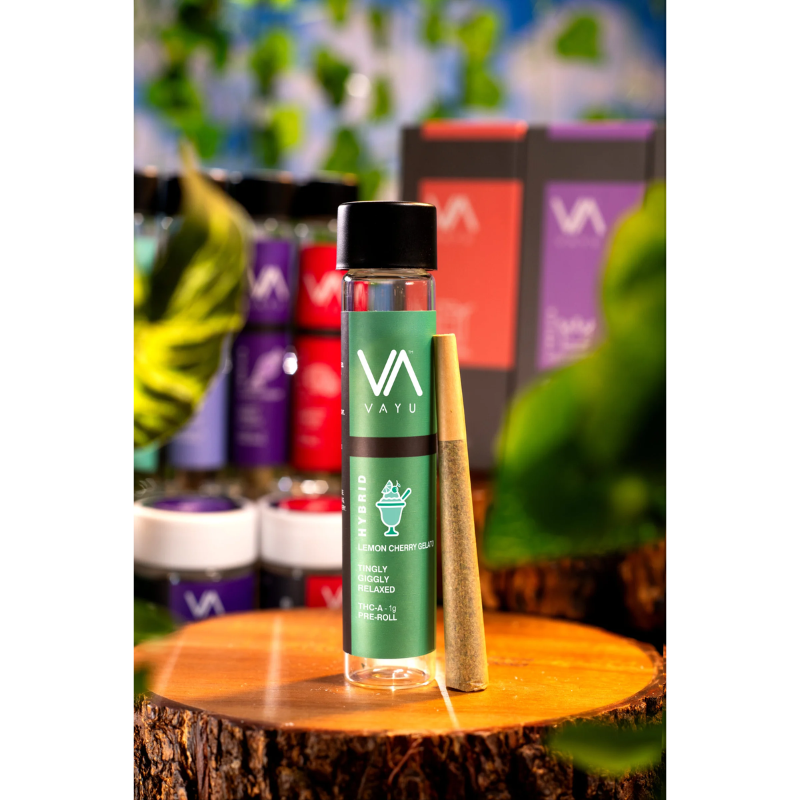 Lemon Cherry Gelato - Hybrid - THCA Pre-Rolls - 1g