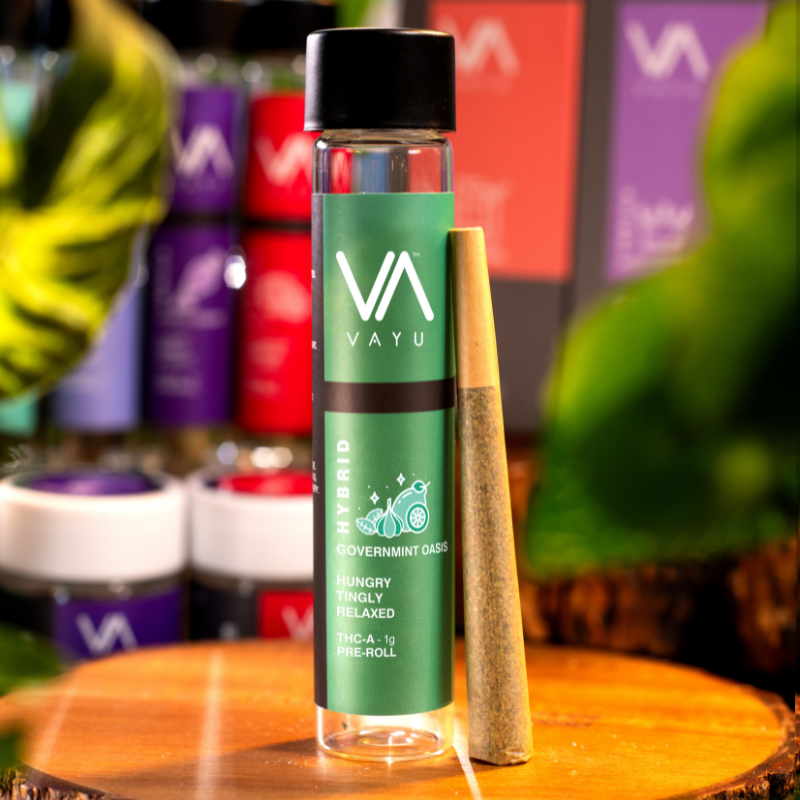Governmint Oasis - Hybrid - THCA Pre-Rolls - 1g