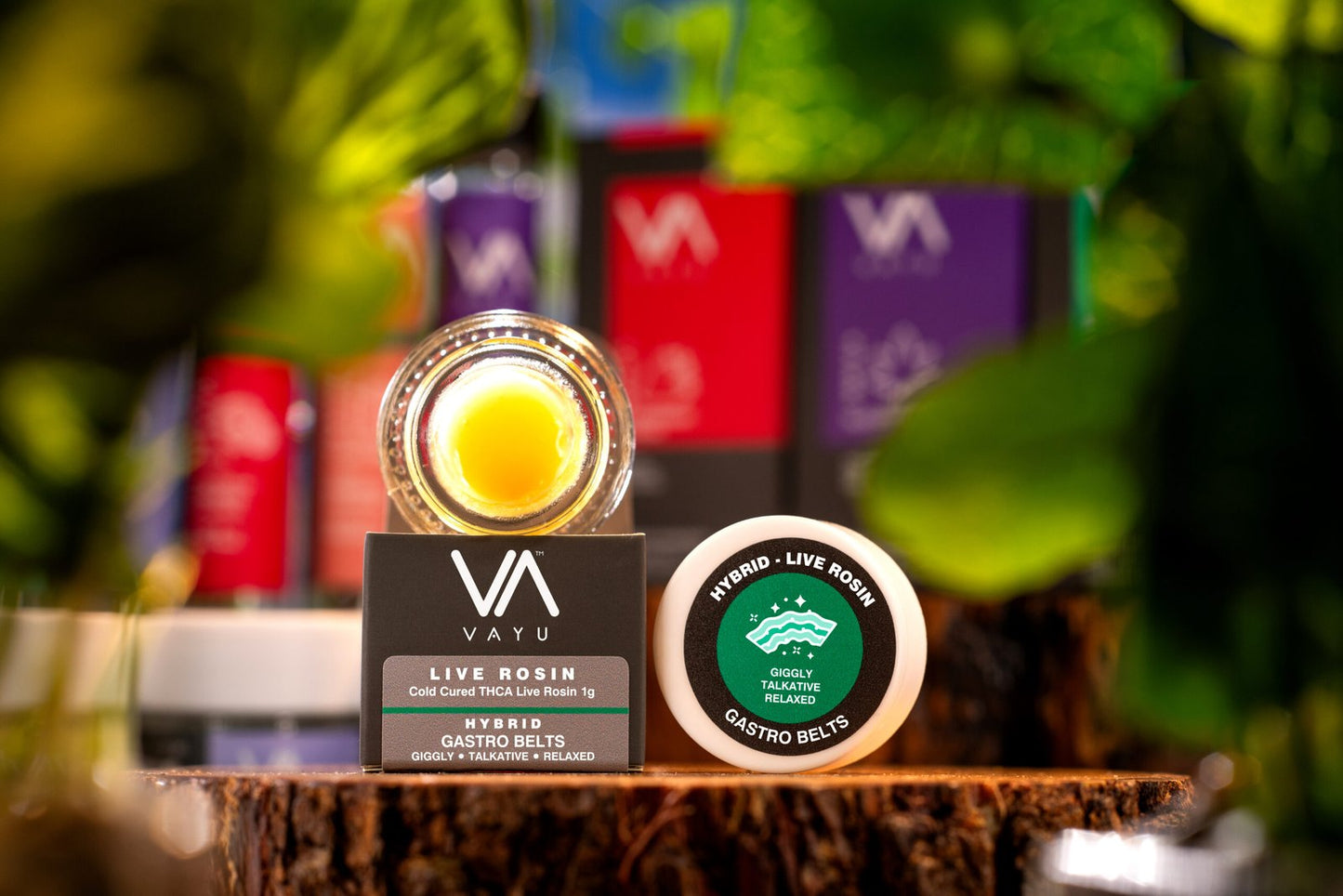 Gastro Belts - Hybrid - Cold Cured THCA Live Rosin - 1G