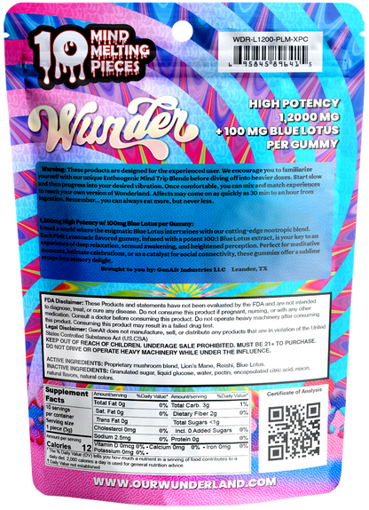Wunder High Potency Mushroom Gummies — Grape (12,000 mg blend)