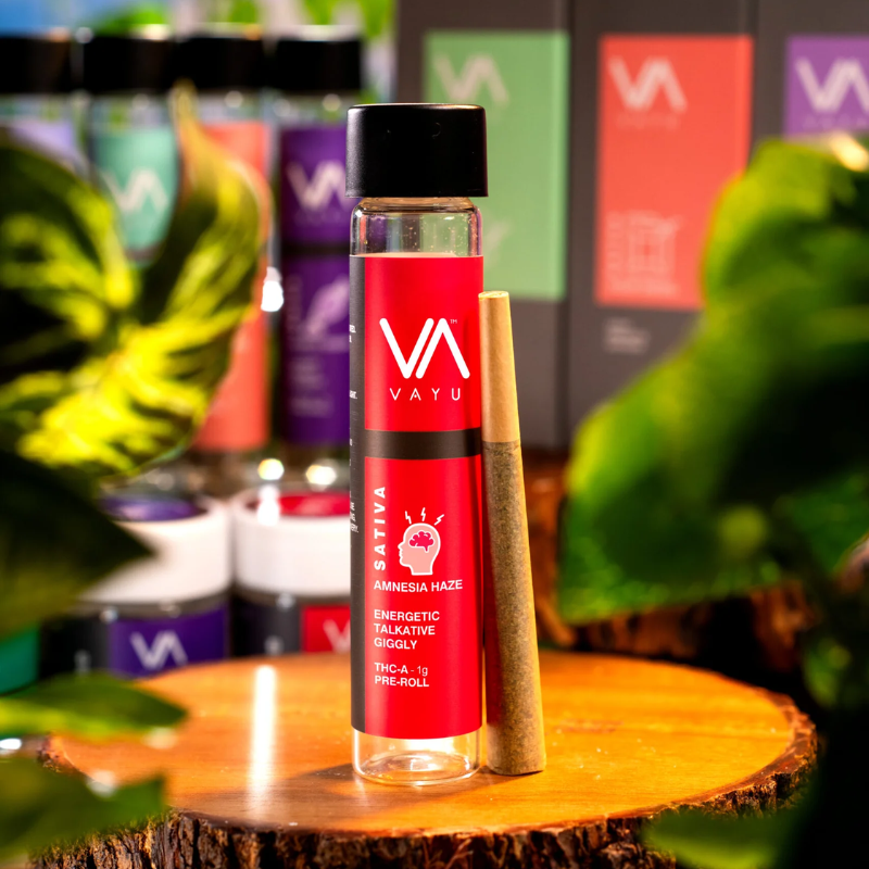 Amnesia Haze - Sativa - THCA Pre-Rolls - 1g
