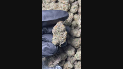 Punch Breath - THCA: 22.10% - Indica - Exotic Hemp Flower