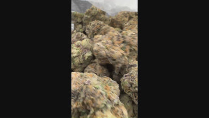 Blue Nerds - THCA: 21.47% - Hybrid - Exotic Hemp Flower