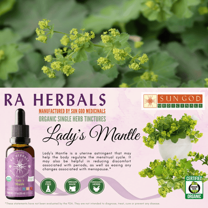 Ra Herbals Certified Organic Lady's Mantle Tincture - (1 oz)