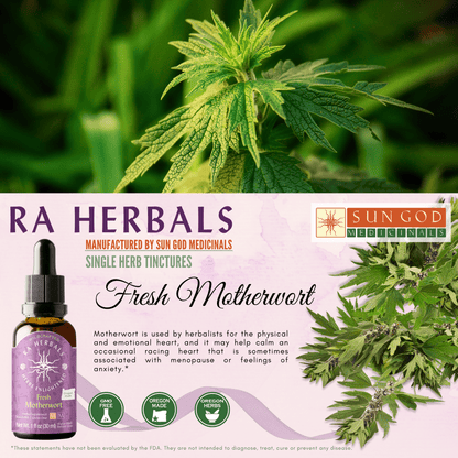 Ra Herbals Certified Organic Motherwort Tincture - (1 oz)